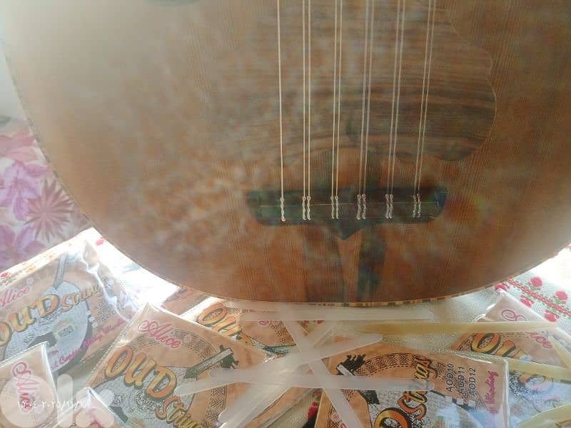 عود زرياب جديد جوز. ارز  جميل جدا مع حقيبة وريش 5