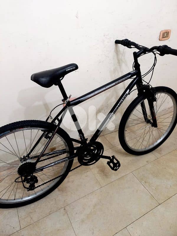 بسكليت Germany 2