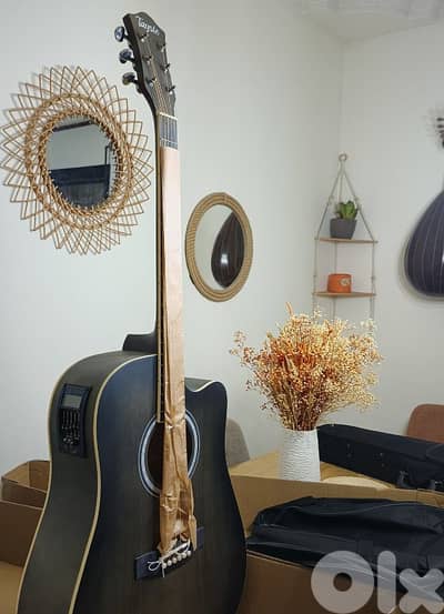 guitars electro accoustic