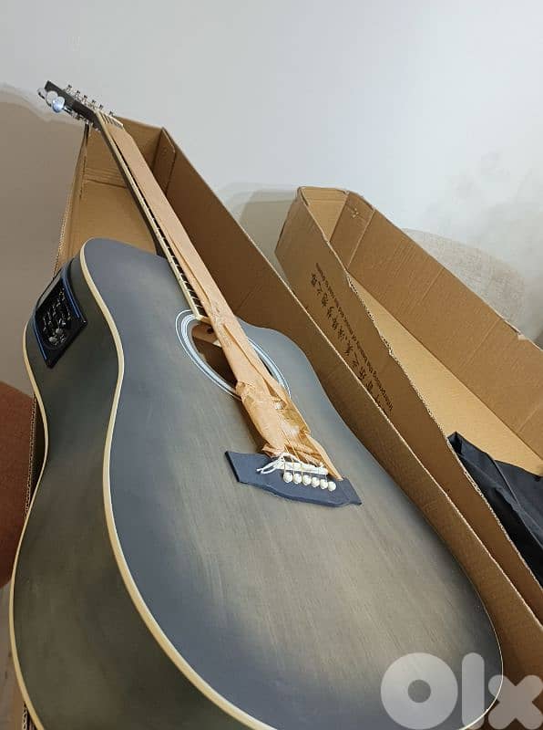 guitars electro accoustic 1