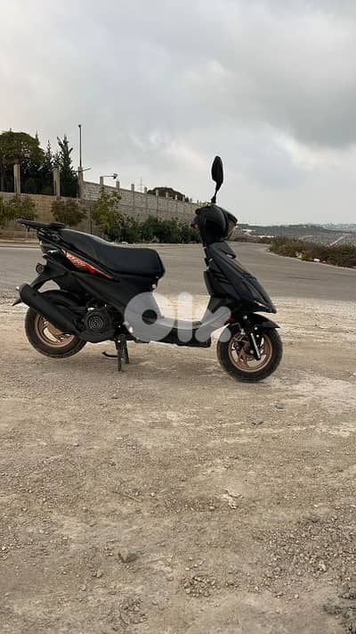 صور كوثريه الرز