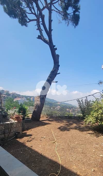 Authentic Standalone traditional Apartment W/ garden in Ain Saade