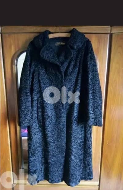 طرابلس عزمي