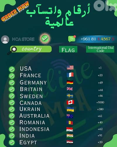 FAKE WHATSAPP NUMBER