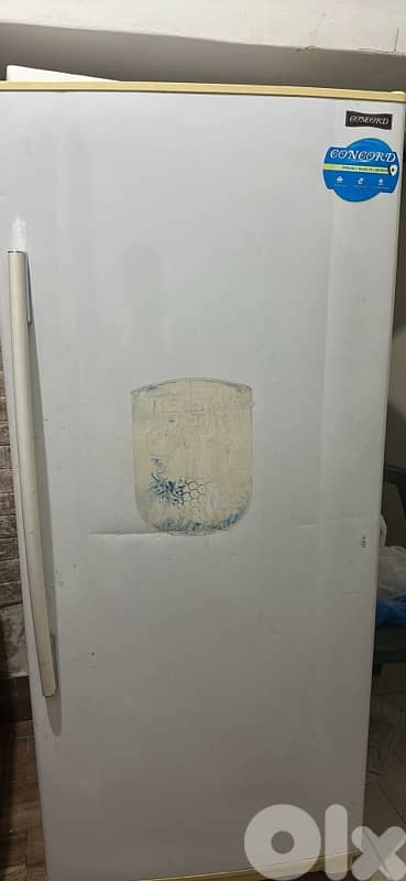 براد كونكورد 20 قدم 0