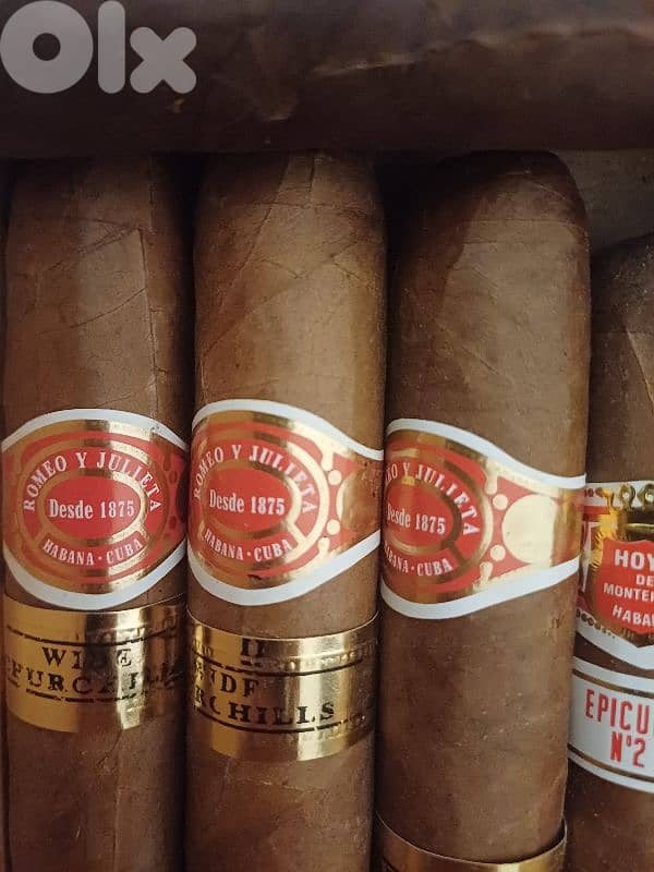 Cigars collection 15 pcs 1