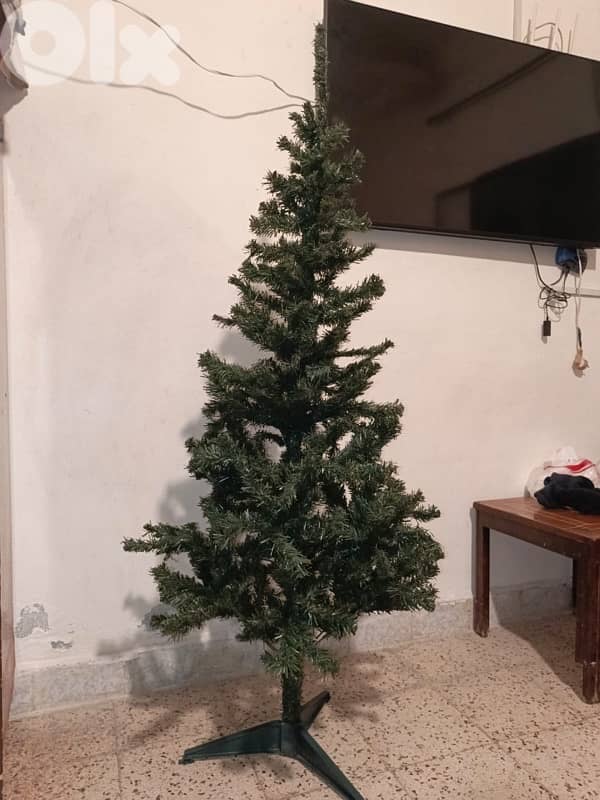 شجرة ميلاد 0