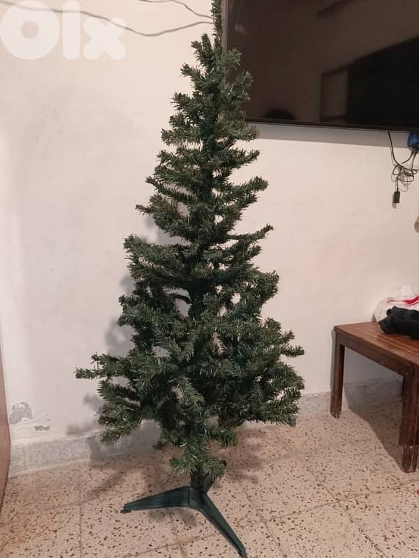 شجرة ميلاد 1