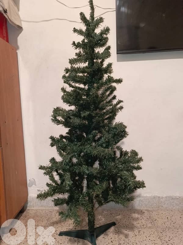 شجرة ميلاد 2