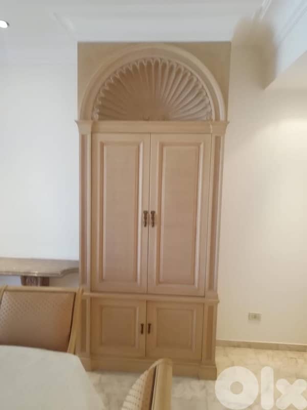 Closet for Salon or Dining Room 0