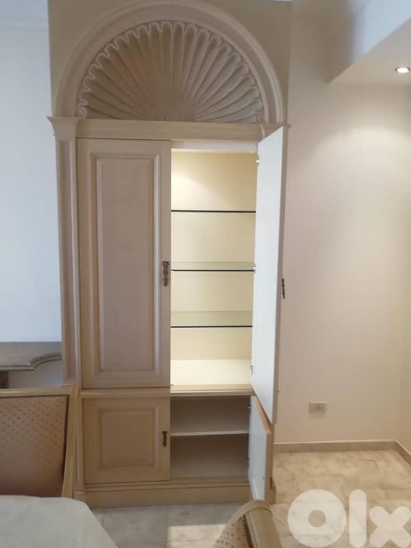Closet for Salon or Dining Room 1