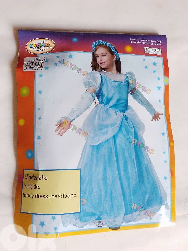 Cinderella costume 0