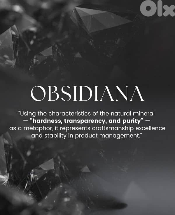 Biomaser x Carolina Alfonzo Wireless PMU tattoo Machine  Adjustable 6