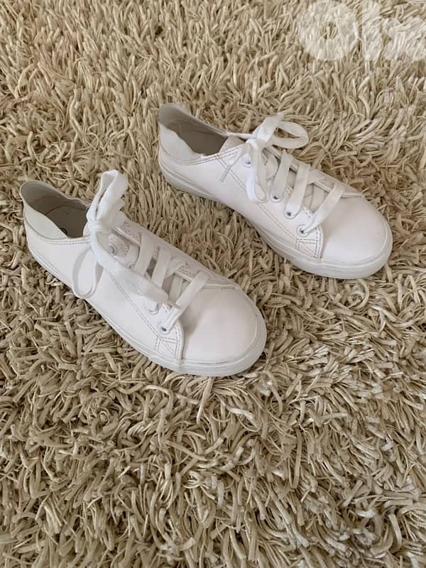 converse from Europe 0