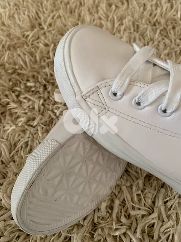 converse from Europe 2