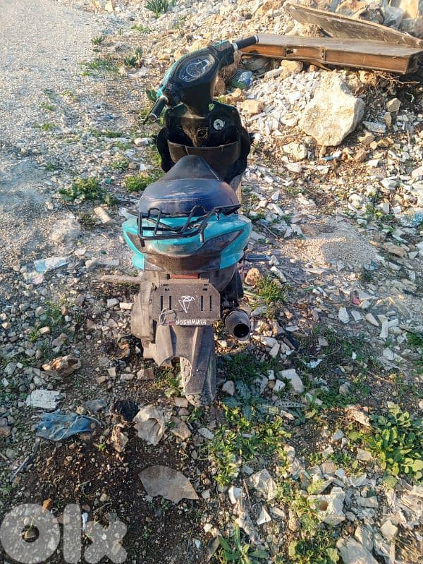 موجودة بلنبطية 1