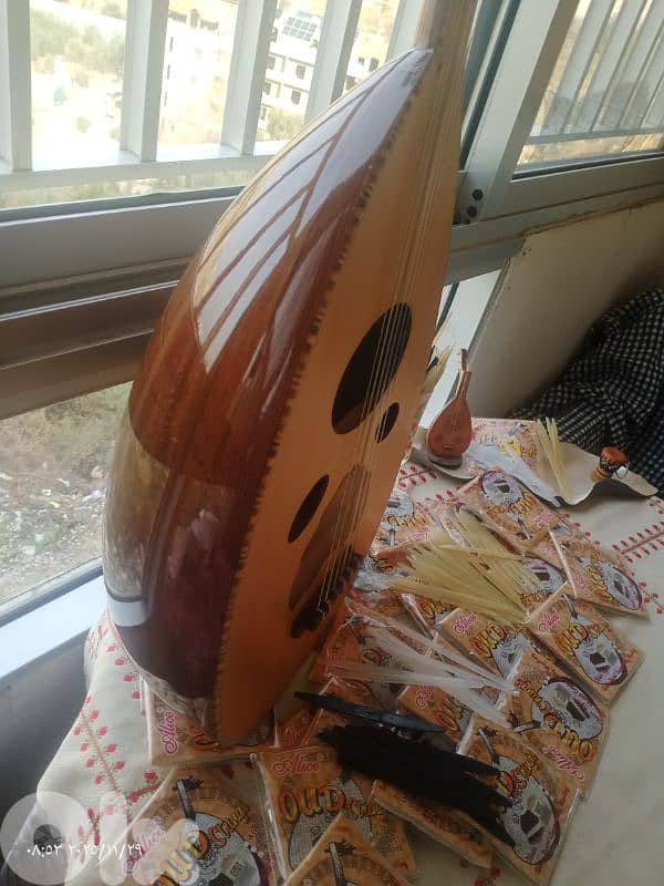 عود مميز بسعر مميز 12