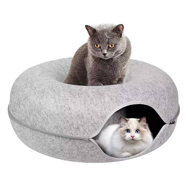 pets accessories 7
