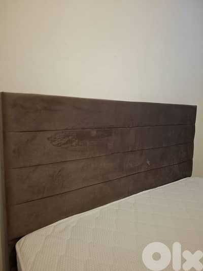 تخت مجوز نع فرشته ب ١٤٠ دولار