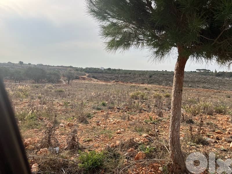 land for sale Bteram 5