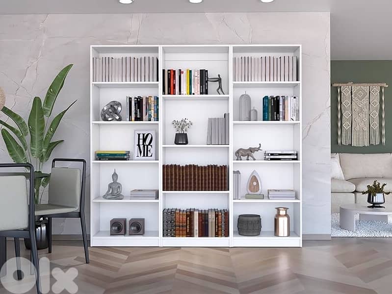 bookcase 2