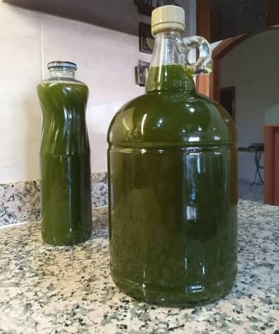 زيت زيتون خضير راائع اصلي ومكفول