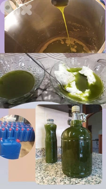 زيت زيتون خضير راائع اصلي ومكفول 3