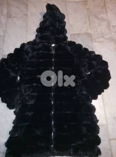 brand new jebto b 55 bade fi bas 20 dollar ya balash