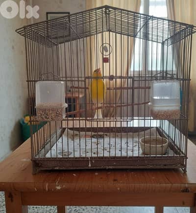 كنار مغرد التواصل هنا افضل