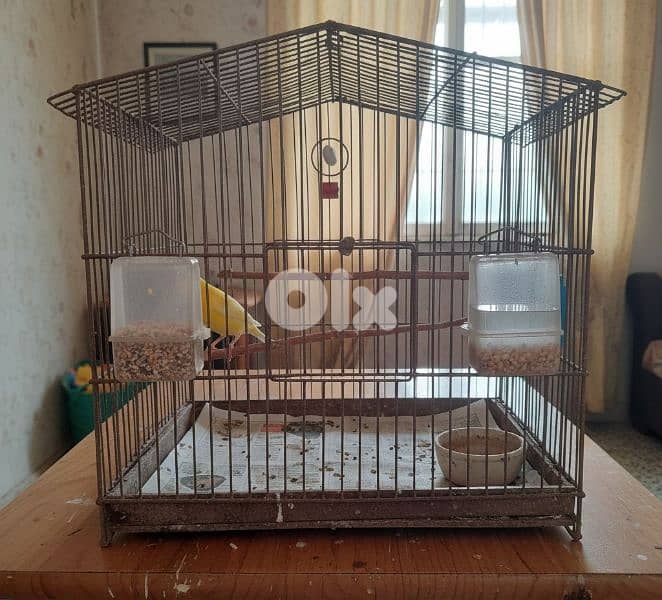 كنار مغرد التواصل هنا افضل 1