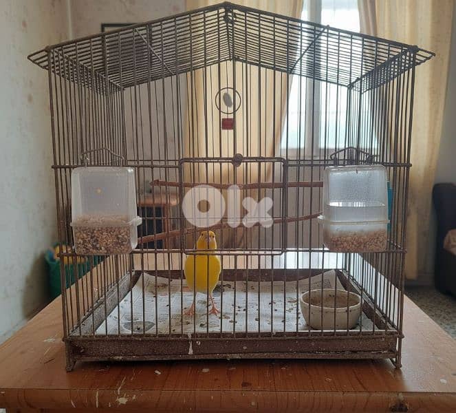 كنار مغرد التواصل هنا افضل 2