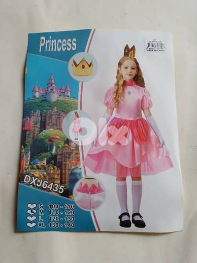 princess costume