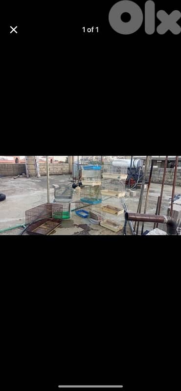 قفاص للبيع 0