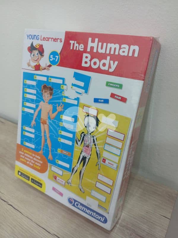 the human body 0