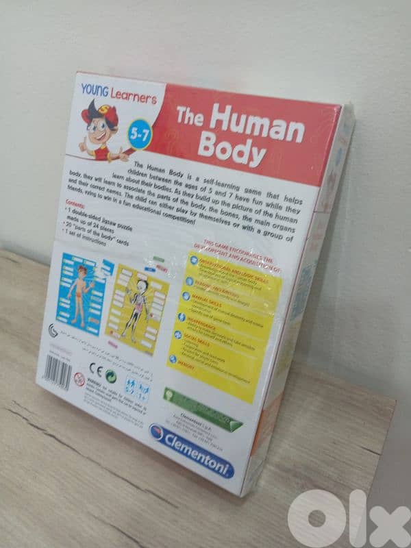 the human body 1