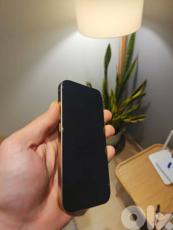 Iphone 16 pro 256 gb Desert 100% battery used 6months 2