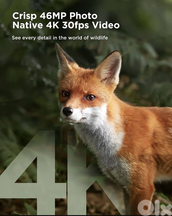 CEYOMUR 4K 30fps Solar Trail Camera, WiFi Bluetooth 46MP/4$ delivery 11