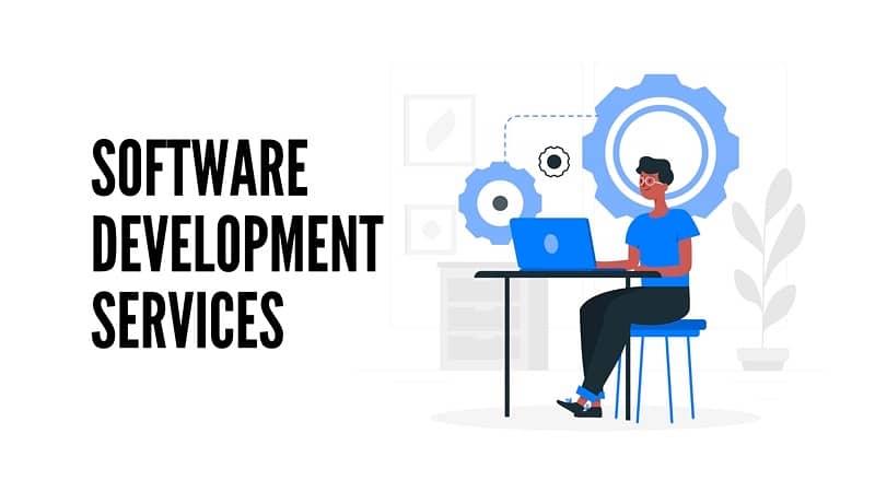 Software development services 0