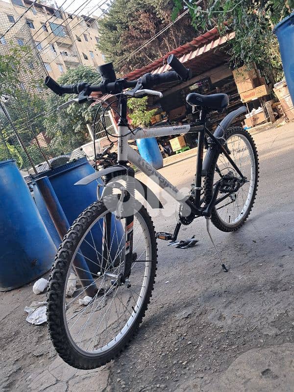 التبانه شارع سوريا 0