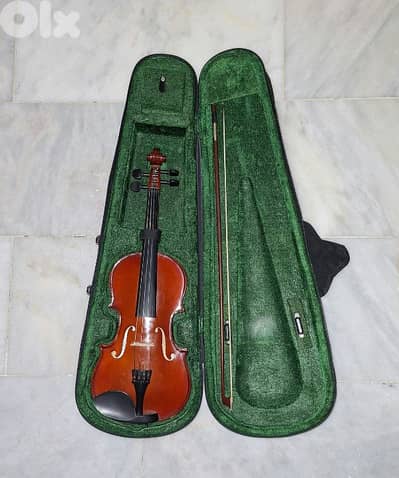 Violin