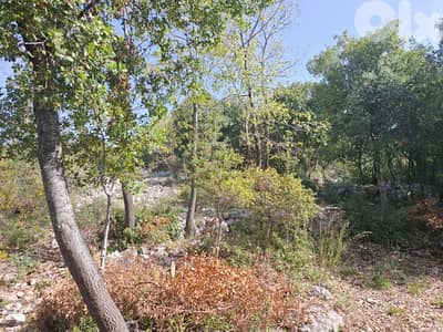 land for sale in Obeidat