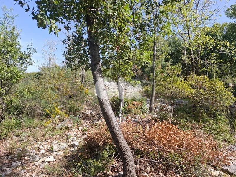 land for sale in Obeidat 1