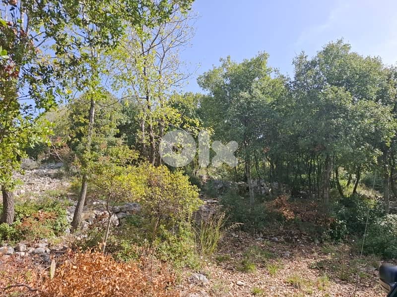 land for sale in Obeidat 2