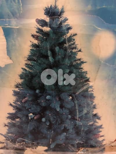 Christmas tree 210cm