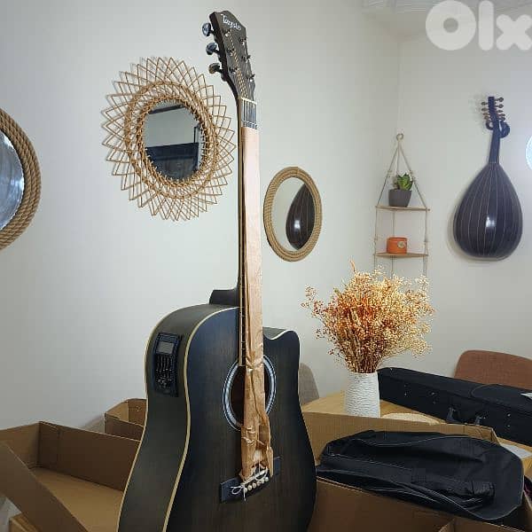 guitar electro accoustic 2