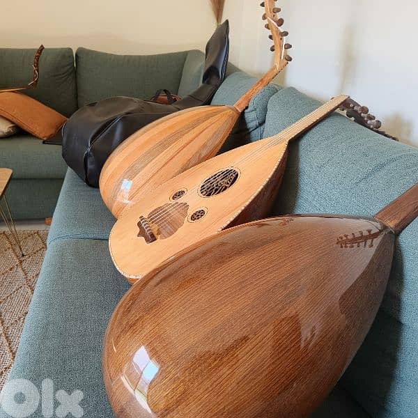 عود زرياب جديد 0