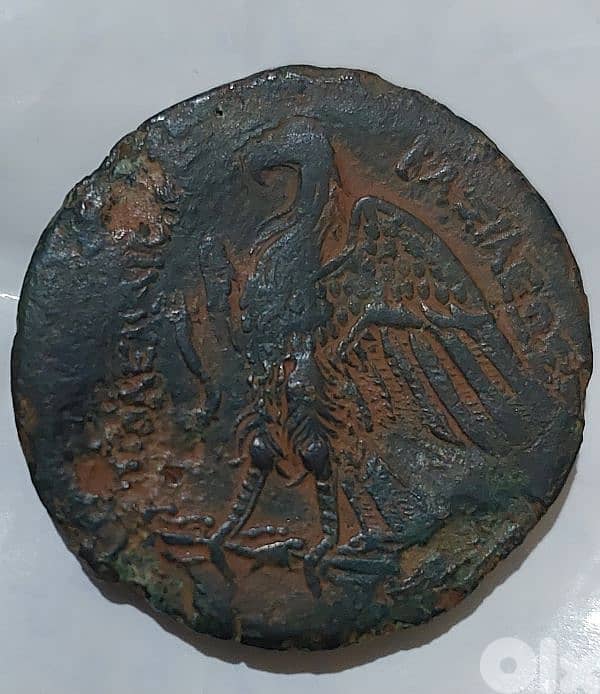 Ptolemaic Kingdom Big Bronze Coin  king Ptolemy VI Philometer 180 BC 1