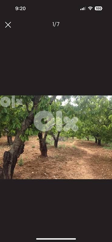 Ain Dara Agricultural Land For Sale