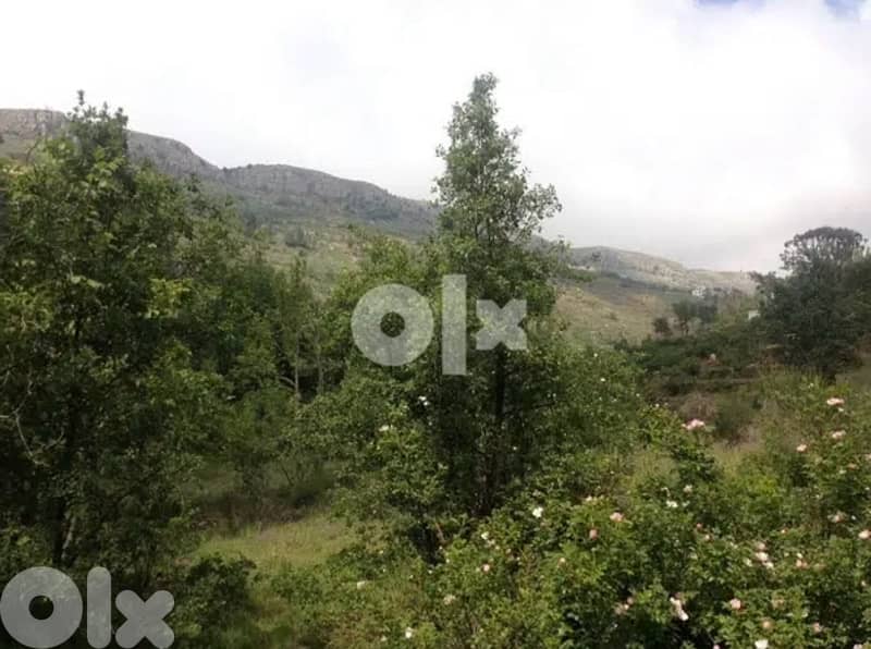 Ain Dara Agricultural Land For Sale 3