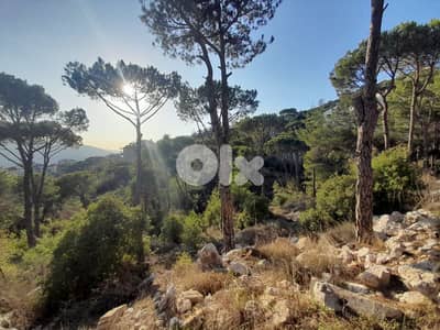 Land for sale in Baabdat